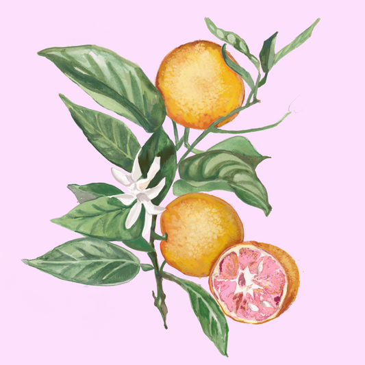Botanical Grapefruit