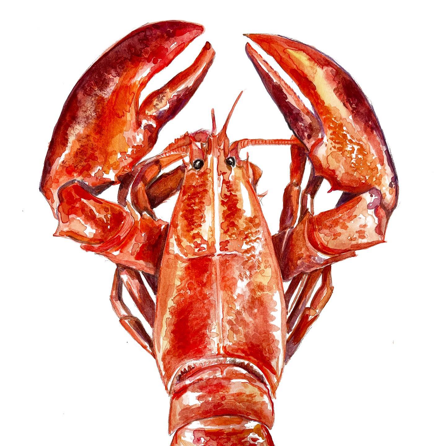Lobster Watercolour Original Print