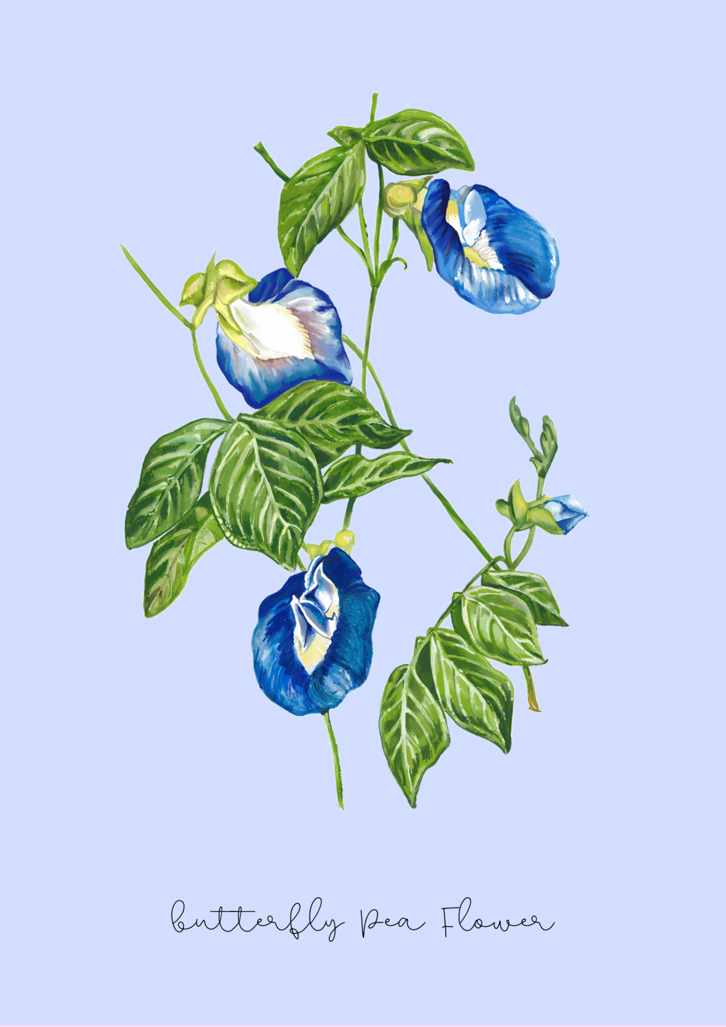 botanical blue print art