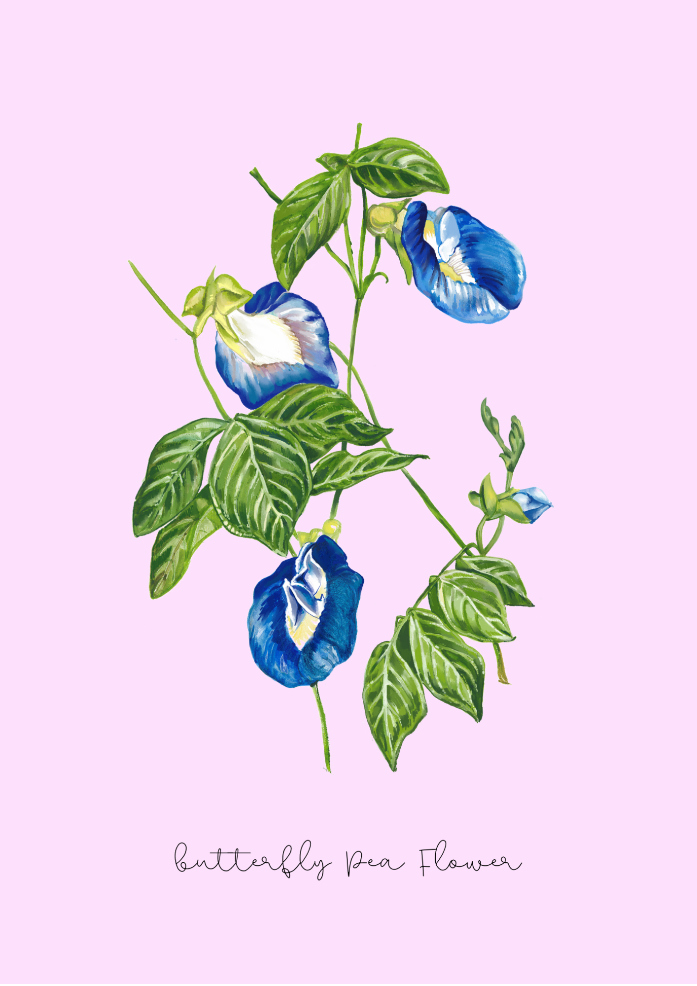 botanical pink print art