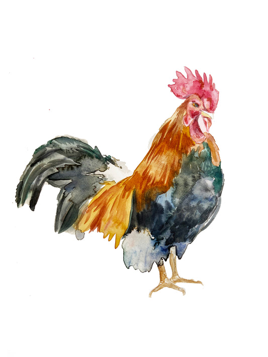 Bantam Chicken | Watercolour