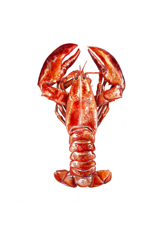 Lobster Watercolour Original Print