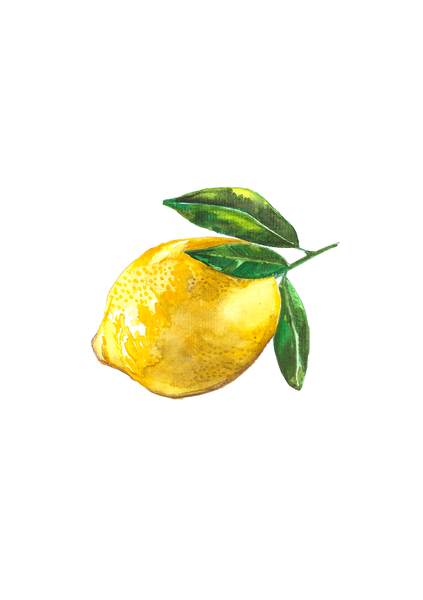 Lemon Watercolour