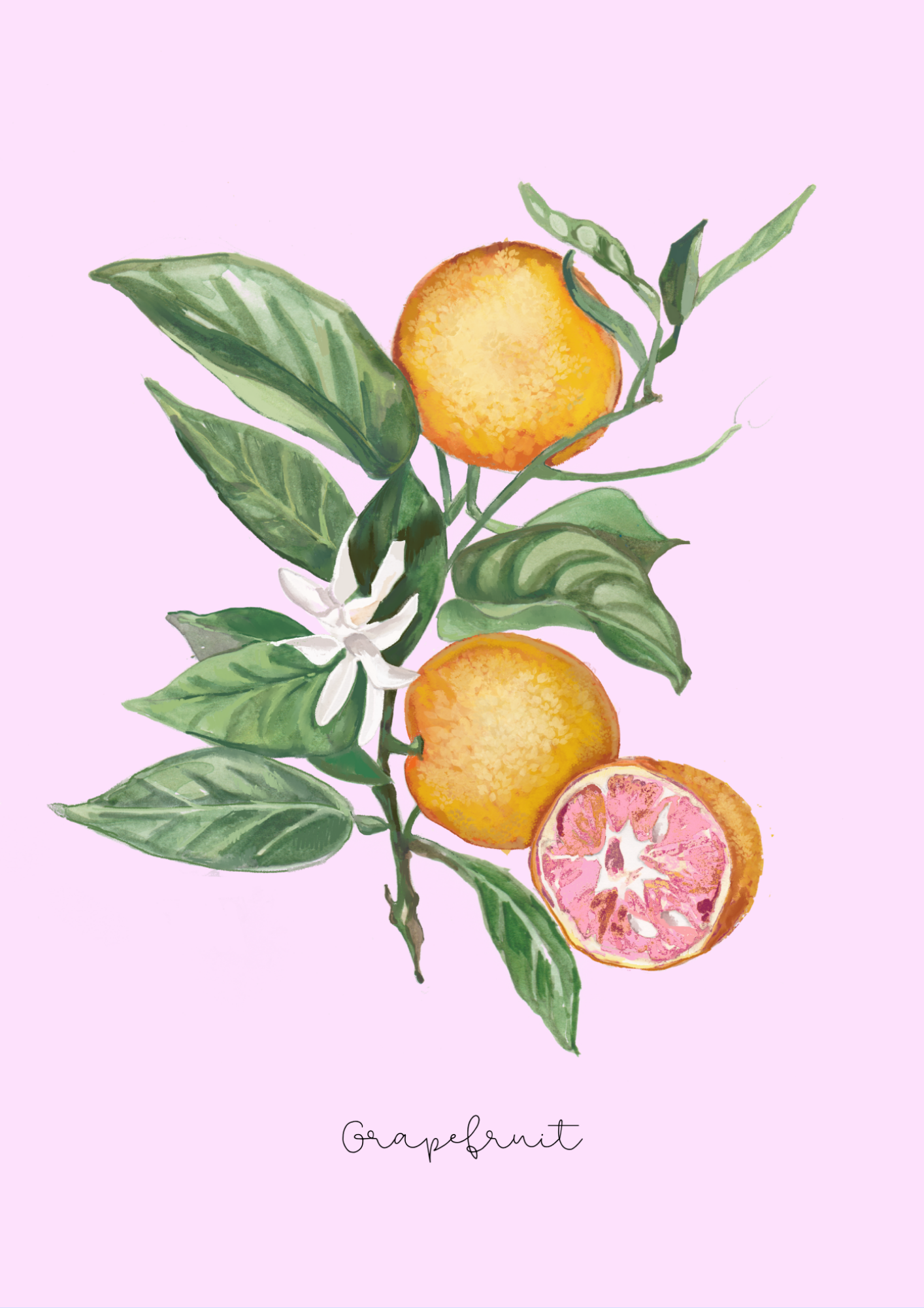 Botanical Grapefruit