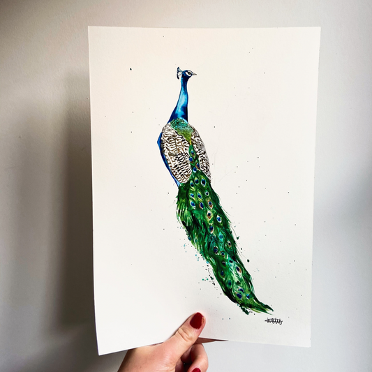 Peacock Print